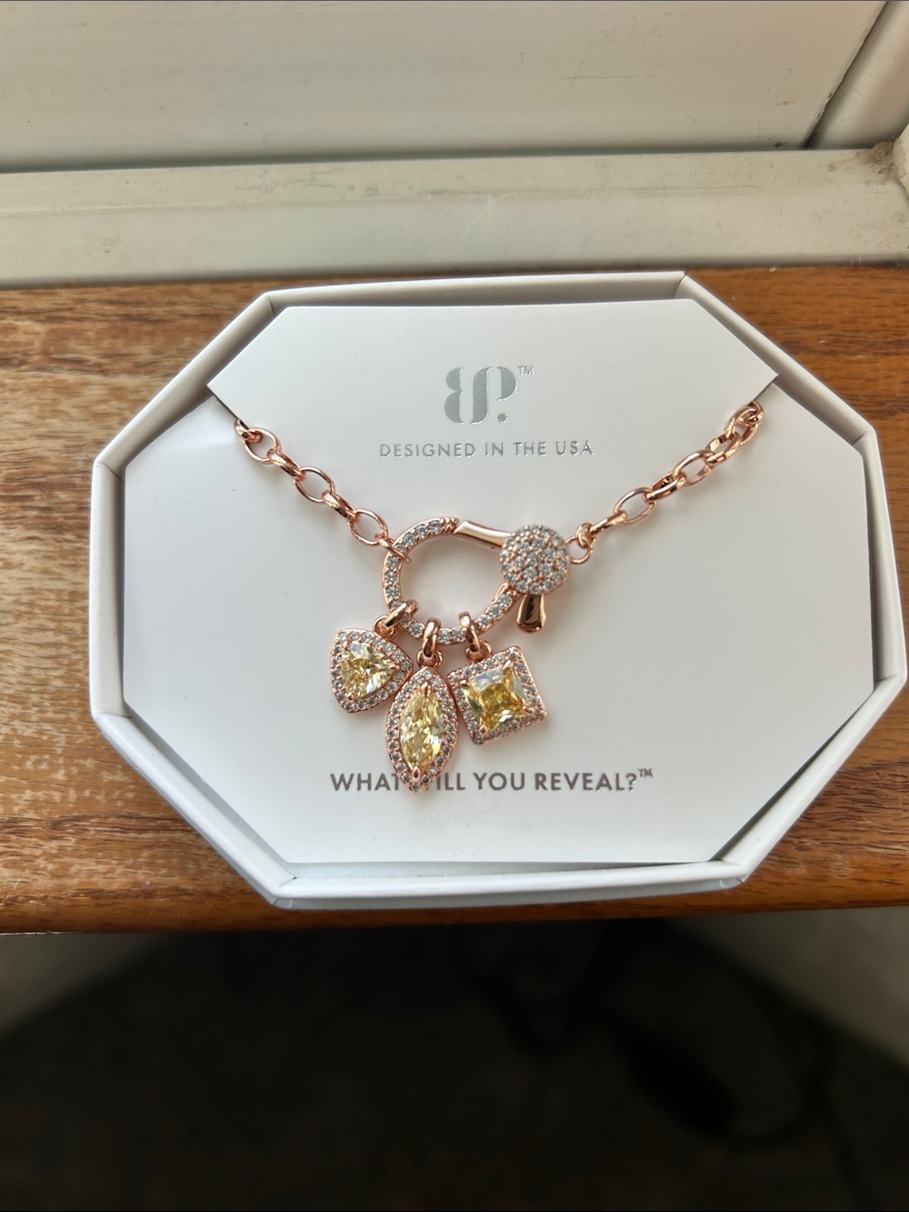 Bp November 2025 Necklace